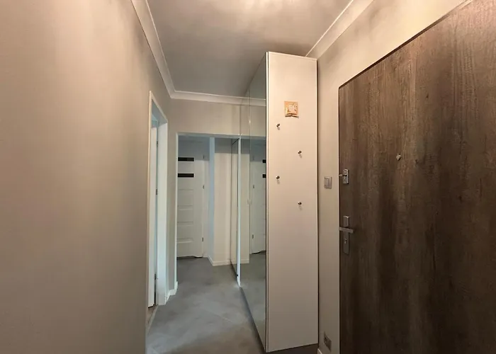 Ania צ'סטוצ'ובה